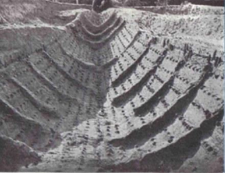 Sutton Hoo, Only an impring of the ship remains.(Picture from the excavation in 1939)