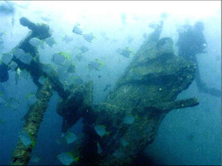 Underwater photo of the stern section of the wreck