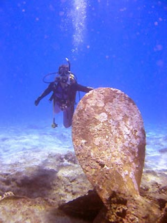 The propeller of the Emden at the wreck site, Source: Underwater Australasia