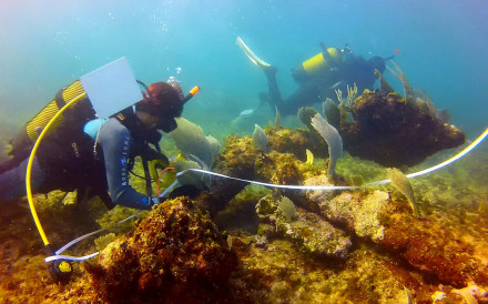 Measuring an anchor at the Punta del Holandés wreck in October 2014.