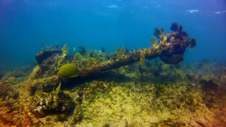 Anchor photographed during the survey in 2014.