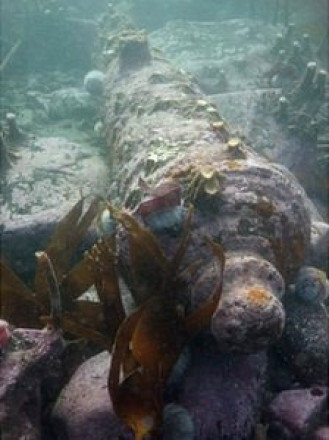 One of the Swedish made cannon at the Gun Rocks Wreck sit. https://www.bbc.com/news/uk-england-tyne-24466229