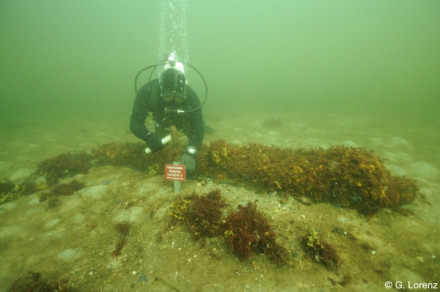 Rolf Lorenz puts up a sign at one of the jettisoned guns, marking this as protected monument site.