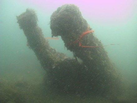 Cannon protruding from the seabed at the Normans Bay site.