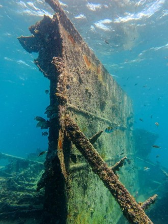 An underwater photo of a part of the hull of the wreck.