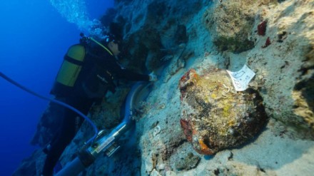 A photo of a diver near an amphora on the seabed.