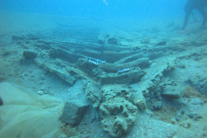 frames on the seabed - Go to Featured