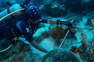 A maritime archaeologist in the Caribbean (© C. Symister) - Go to Dutch Caribbean heritage